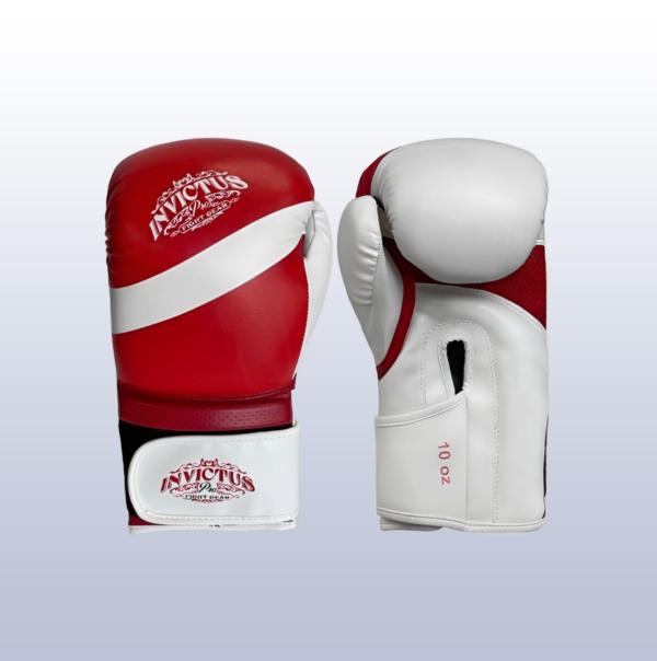 Guantes de Boxeo y Kickboxing Invictus Varios Talles