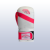 Guantes de Boxeo y Kickboxing Invictus Varios Talles